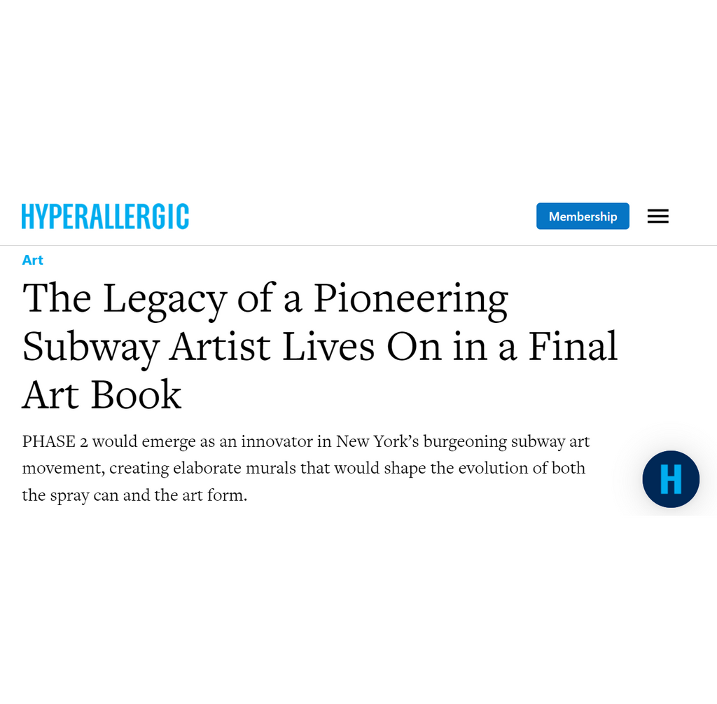 Hyperallergic Article